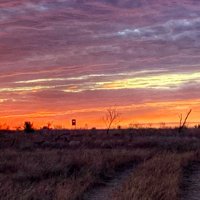 Harvey McIntyre (@hdmiv) 's Twitter Profile