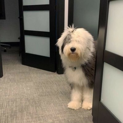 ต้มแส่บさんのプロフィール画像