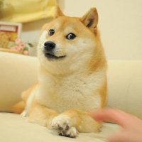 ctrl (@_ctrl_r_) 's Twitter Profile Photo ctrl (@_ctrl_r_) 's Twitter Profile Photo