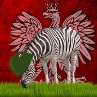 Pan_Zebra 🇵🇱 (@panzebraa) 's Twitter Profile