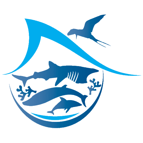 LH Marine is an innovative multi-faceted marine research and awareness consultancy.