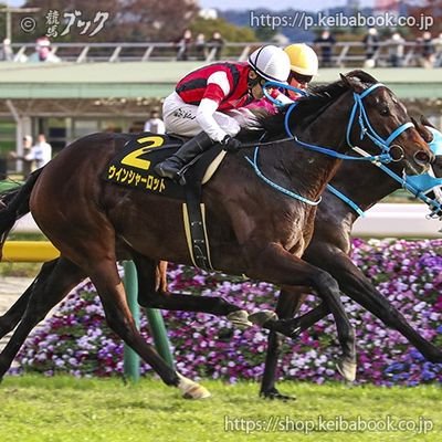 ウイン一口馬主約20年。これまでの重賞勝馬はバリアシオン、ガニオン、マーベルです。G1制覇が当面の目標ですが下級条件戦で掲示板確保も嬉しい。
。