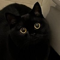 カズヲダイスケ KZDK (@kzdksmg) 's Twitter Profile Photo カズヲダイスケ KZDK (@kzdksmg) 's Twitter Profile Photo