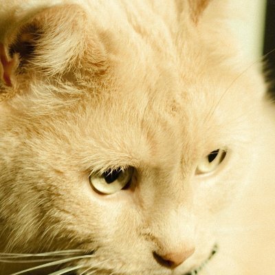 BrittanyRi88414's profile picture. Craetor $CAST