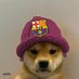 yosoybicho (@yosoybicho48) Twitter profile photo yosoybicho (@yosoybicho48) Twitter profile photo