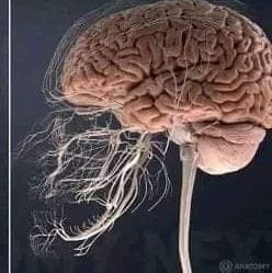 Hindi911kh's profile picture. لا يصح الا الكسيح 
ههههههههههههههه
قصدي الصحيح