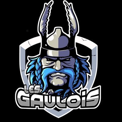 LesGaulois38's profile picture. 🇫🇷 Equipe esport VR Grenoble Team EVA🎮

 1️⃣ Obelix Idefix  Subbi Crashx38
 2️⃣ Bob Elorn Kirito Astro38

  Contact: lesgauloisesport@gmail.com