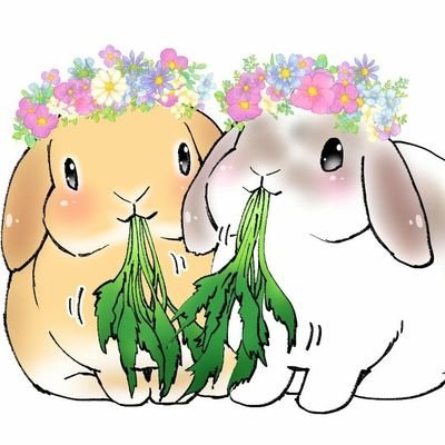 メイ🐰♂️ホーランドロップ2018.5.11🎂6.23🏡
夢🐰👶♂️ホーランドロップ2021.3.24🎂5.29🏡
teamベビーフェイスチームリーダー
アイコンは @usagi_hamham