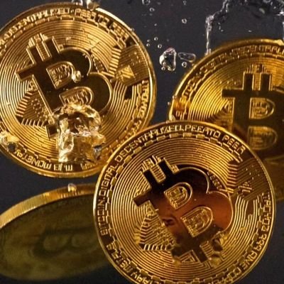 parsiserver's profile picture. signal crypto