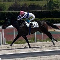 グラン (@grandezza1439) 's Twitter Profile