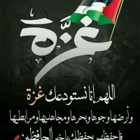 محمد الحلوانى (@halwanymohamd) 's Twitter Profile