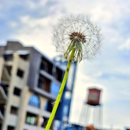 GeminiLover30's profile picture. Live, Love, Laugh 💯❤😎💋🙃🙏