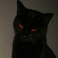 🍓 (@formv1a) 's Twitter Profile