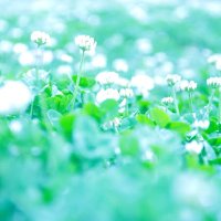 サミィ (@shizuku_o2o5) 's Twitter Profile Photo