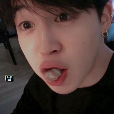 ㅤㅤㅤㅤ ͏ ͏ ͏ ͏ ͏ ͏ ͏  ͏ ͏ㅤ   gatinhos e minsung