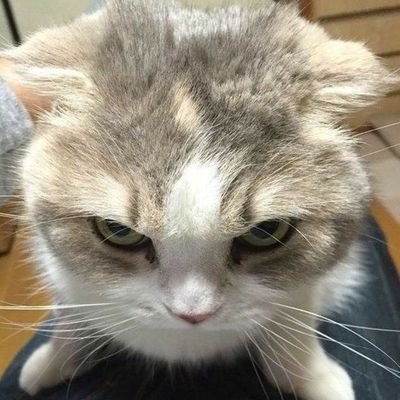 taa_tum7's profile picture. จั๊กไอ๋ซะปาย = อะไรกันน้กหนา / Don't Know Me, Don't Know You / Knowing us as much as we want to know is enough / 1980's / Introvert / H173W80