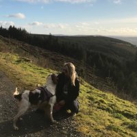 Eleanore OGorman (@ellyog) 's Twitter Profile