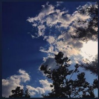 PrachiChau49325's profile picture. I am a 2nd year BTech CSE student  from DIT University. I am passionate about Web Development.