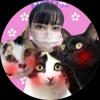 ミケネコタミ&ヲネコママ(@mikenekotami) 's Twitter Profile Photo