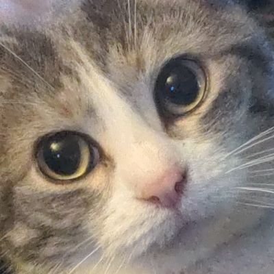 MintyStarchild's profile picture. .