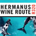 Hermanus Wine Route (@hermanuswine) Twitter profile photo