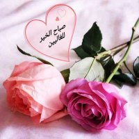 فطوم (@memi81935) Twitter profile photo