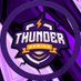Thunder Gaming (@thundergam_) Twitter profile photo Thunder Gaming (@thundergam_) Twitter profile photo