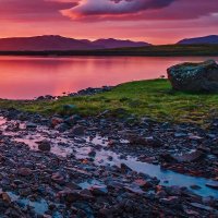 Feramist (@feramist1) Twitter profile photo