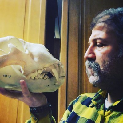 @paleontology, @evolution, @humanevolution, @archaeology, @anthropology. lives in Finland.. works in the Old World...and yes, I am Ross from Friends 😊