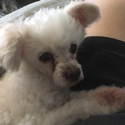 sha49006's profile picture. 