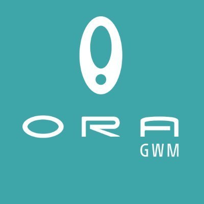 Hello Friend! This is official home of GWM ORA South Africa, a new 100% electric automotive brand. We're launching soon! Keep an eye on Us!