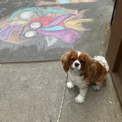 sickofthisshitb's profile picture. Mom, former liberal, Brooklynite