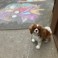 Aluicious Sanity (@sickofthisshitb) 's Twitter Profile