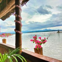 Ms.AngeL (@mszzangel) 's Twitter Profile