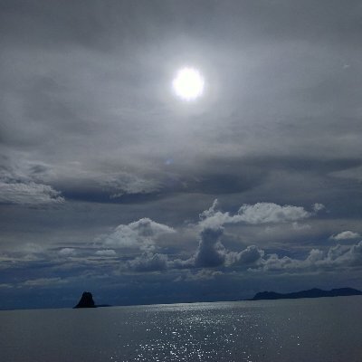 Samui59036093's profile picture. 