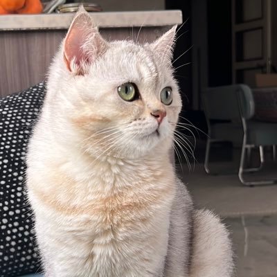 Mardin Artuklu Üniversitesi Güzel Sanatlar Fakültesi Radyo Televizyon Sinema