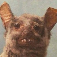 Thomas The Other One (@thomastheother1) 's Twitter Profile Photo Thomas The Other One (@thomastheother1) 's Twitter Profile Photo