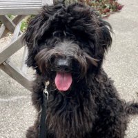 julbond (@jbond444) 's Twitter Profile