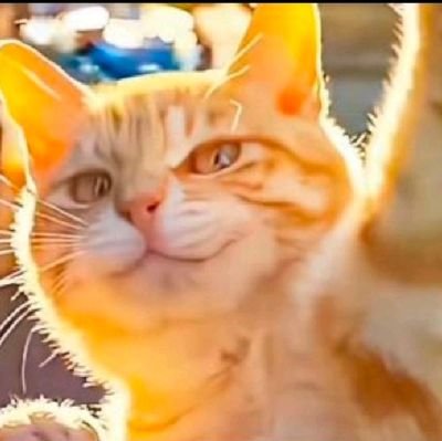 m_k_b_k_'s profile picture. 