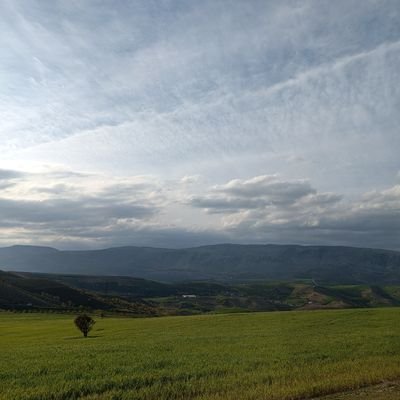 Arc_Architec's profile picture. Mimar|Çşb