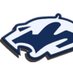 Plainfield South Football (@PSHScougarFB) Twitter profile photo