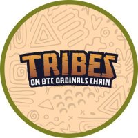Ordinal Tribes 🗿🟧 (@btctribes) 's Twitter Profile