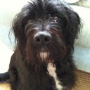 JOANNA HARPER - @JOJO3595 - Twitter