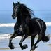 Black Beauty 💞💯 (@antonyxaviour2) Twitter profile photo Black Beauty 💞💯 (@antonyxaviour2) Twitter profile photo