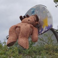 Herb, not a plant (@herbwetherell) 's Twitter Profile