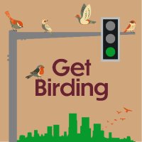 Get Birding(@getbirdingpod) 's Twitter Profile Photo
