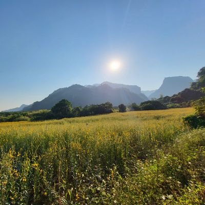 Mew39411188's profile picture. 