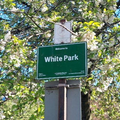 Friends of White Park. Bringing biodiversity, art and community activities to our local park on Gorgie Road.