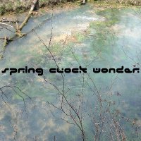 Spring Clock Wonder (@springclockw) 's Twitter Profile