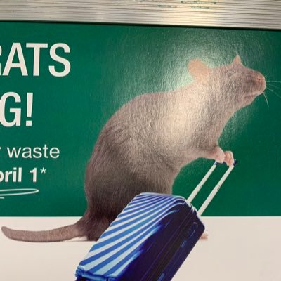 b00ts007's profile picture. Add a bio to your profile